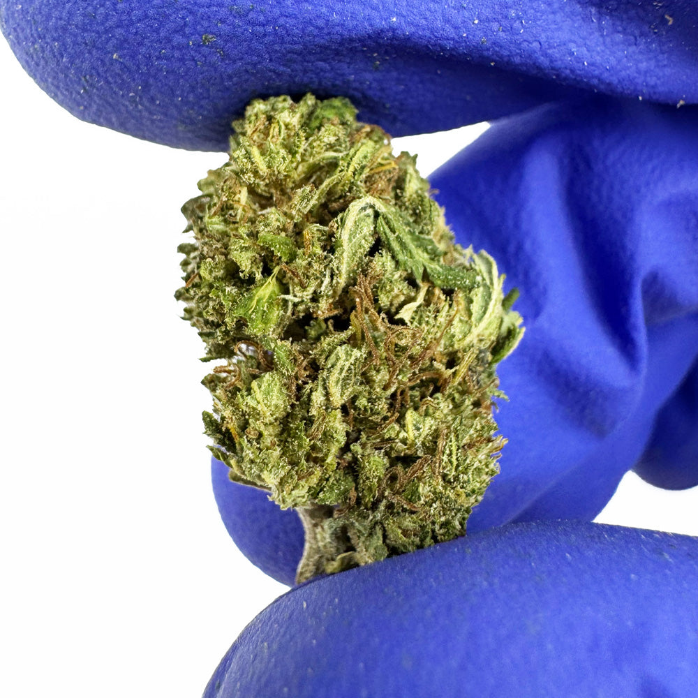 OG Kush - Small buds