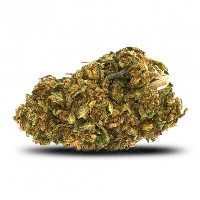 Bubble Gum CBD