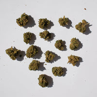 Bubblegum Glasshouse - Popcorn