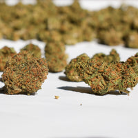 Strawberry Glasshouse - Medium Buds
