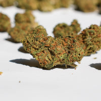 Strawberry Glasshouse - Medium Buds