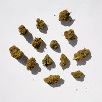 Strawberry Glasshouse - Medium Buds