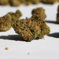 Strawberry Glasshouse - Medium Buds